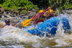 Arenal: Rafting Sarapiqui River Day Tour - klasa II-III