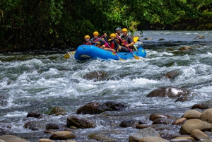 Arenal: Rafting Sarapiqui River Day Tour - klasa II-III