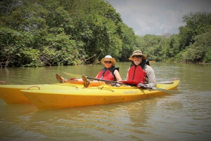 Arenal : Safari Kayak et vie sauvage