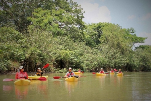 Arenal: Safari en Kayak y Vida Salvaje
