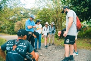 Vulkan Arenal: Regenwald-Rundgang zur Naturgeschichte