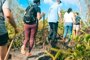 Passeggiata naturalistica nella foresta pluviale del Vulcano Arenal di 3,5 ore