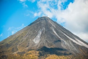 Caminata de 3,5 horas por la historia natural de la selva tropical del volcán Arenal