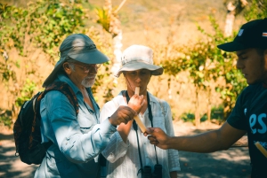 Vulkan Arenal 3,5-stündige Wanderung durch die Naturgeschichte des Regenwaldes