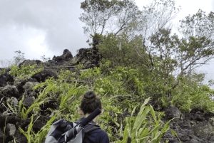 ARENAL VOLCANO: Best places combination One Day Tour