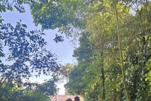ARENAL VOLCANO: Best places combination One Day Tour