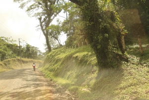Arenal: Cykeltur på vulkanen