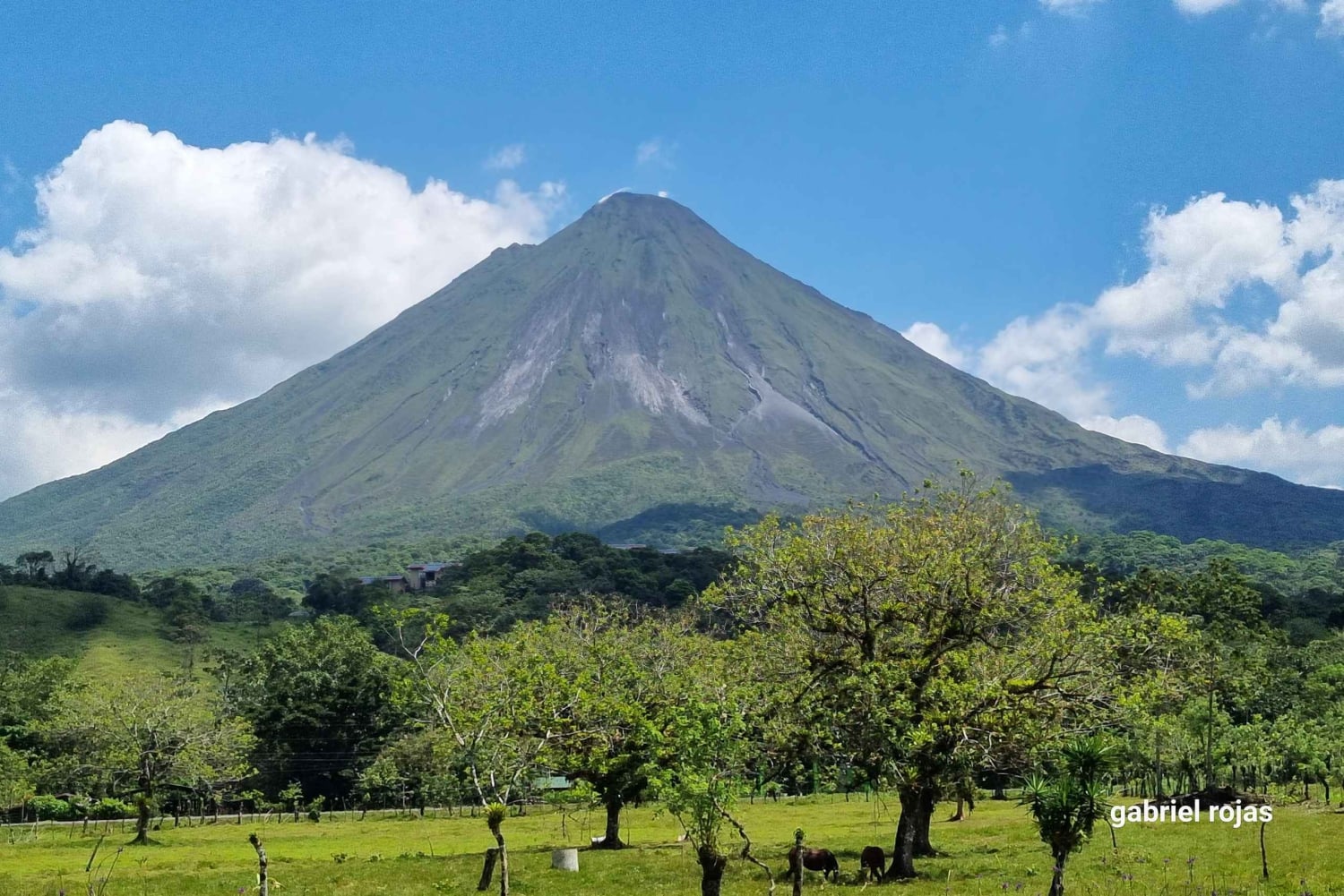Arenal-vulkanen: Guidet vandretur på El Silencio-stien