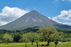 Arenal-vulkanen: Guidet vandretur på El Silencio-stien