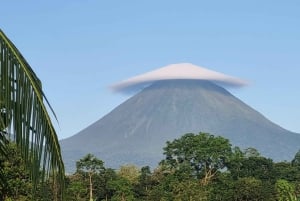 Arenal-vulkanen: Guidet vandretur på El Silencio-stien