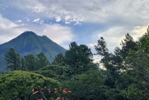 Arenal-vulkanen: Guidet vandretur på El Silencio-stien