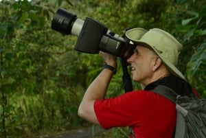 Volcán Arenal Caminata 1968