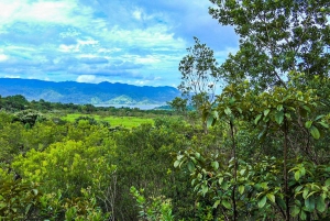 Caminhada no vulcão Arenal