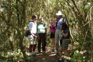 Arenal Volcano National Park Half-Day Hike