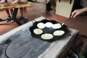 Лучшая экскурсия по Ареналу на ленивце: Уникальный опыт общения с дикой природой