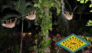 Atlantida Lodge