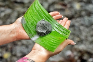 Тур на квадроциклах по кратеру и лесу вулкана Ареналь