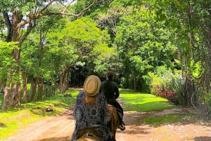 Barigona Beach: Baronaona: Ratsastus, piknik ja uinti.