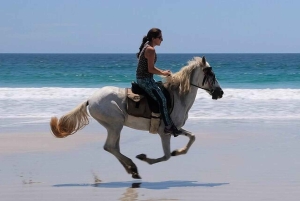 Barigona Beach: Baronaona: Ratsastus, piknik ja uinti.