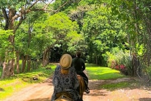 Barigona Beach: Baronaona: Ratsastus, piknik ja uinti.