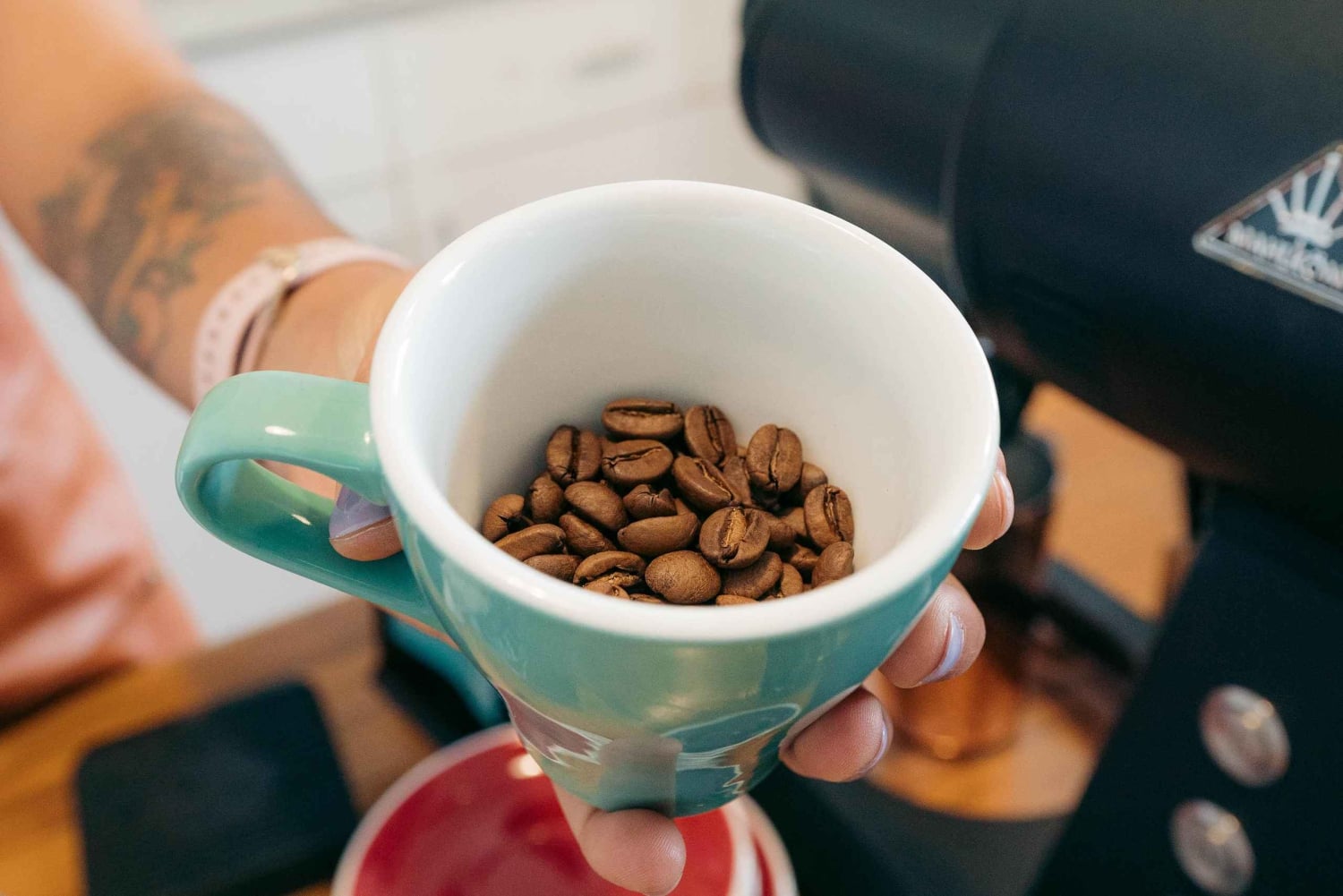 Mellem hjul og smagsoplevelser i San José