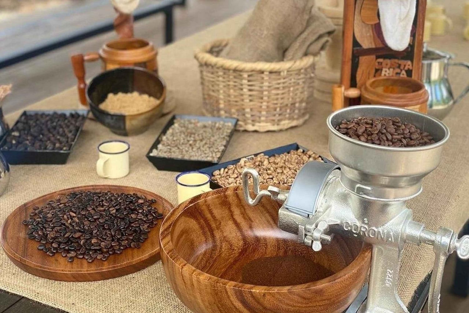 Bijagua: Cacao & Pineapple Farm Tour with Tastings