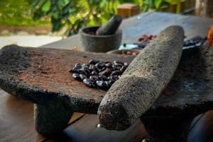 Bijagua: Cacao & Pineapple Farm Tour with Tastings