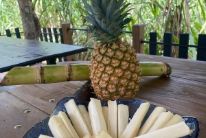 Bijagua: Cacao & Pineapple Farm Tour with Tastings