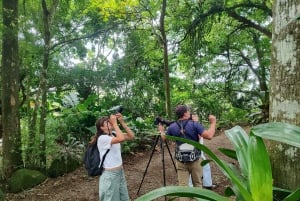 Bijagua de Upala: Bosque lluvioso, perezosos, aves y diversión al máximo