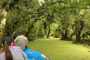 Bijagua de Upala: Bosque lluvioso, perezosos, aves y diversión al máximo