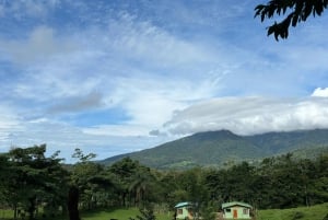 Bijagua: Tour en Kayak y Senderos en Bosque Tropical