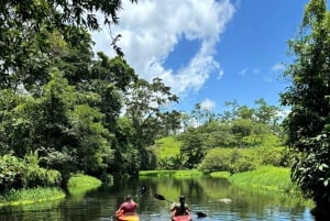 Bijagua: Tour en Kayak y Senderos en Bosque Tropical