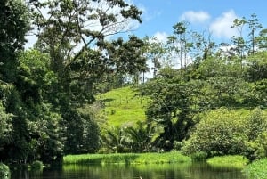 Bijagua: Tour en Kayak y Senderos en Bosque Tropical