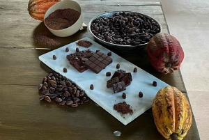 ビハグア：セルフドライブで行く熱帯雨林のナマケモノとの出会い＆農場ツアー