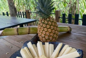 ビハグア：セルフドライブで行く熱帯雨林のナマケモノとの出会い＆農場ツアー