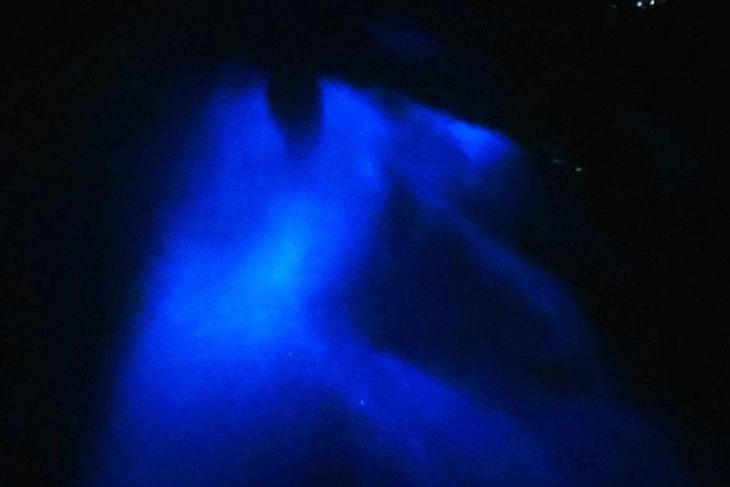 Visite nocturne avec masque et tuba à partir de la plage de Pochote