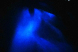 Visite nocturne avec masque et tuba à partir de la plage de Pochote