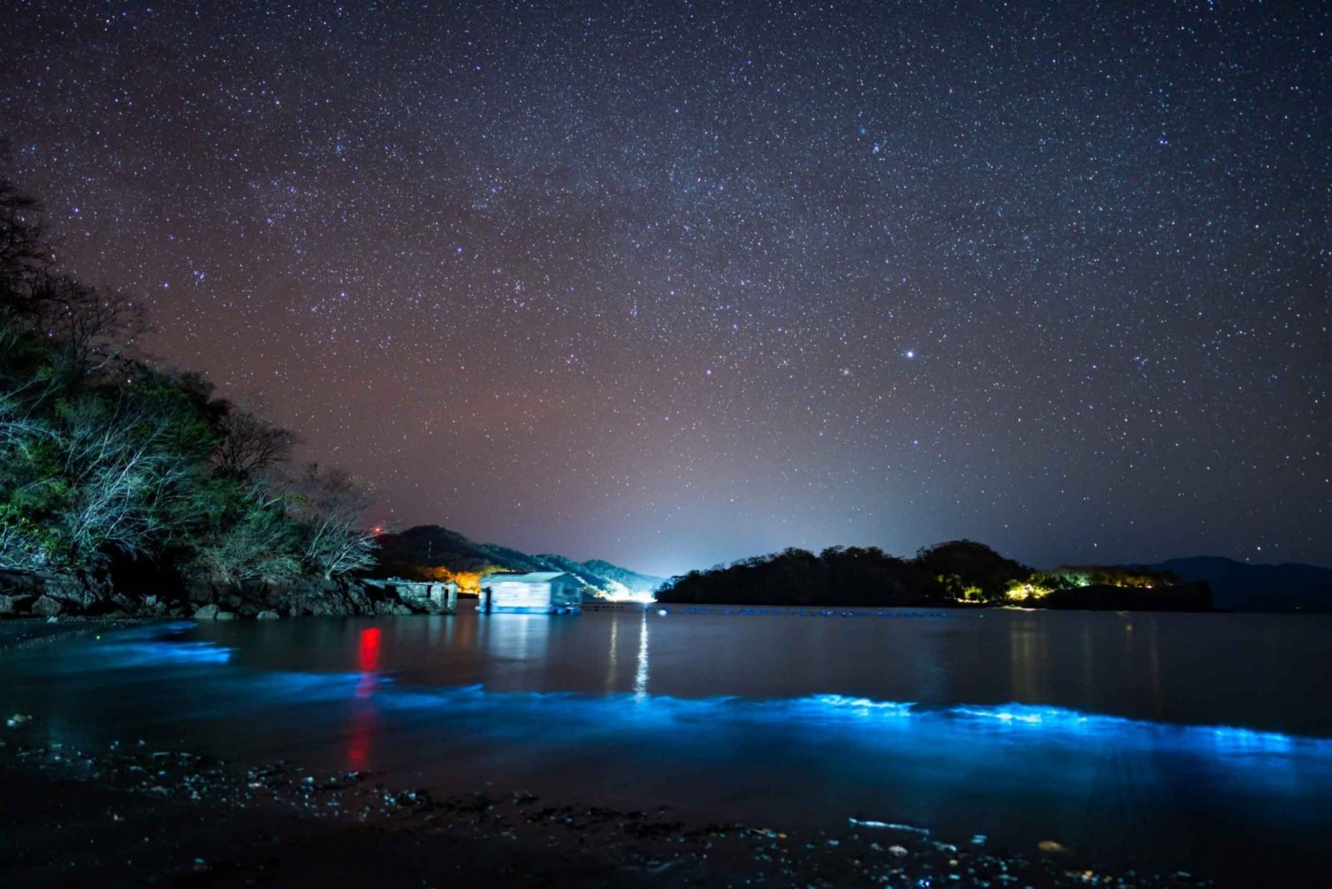 Bioluminescence Tour; Speedboat, Camping (From Puntarenas)