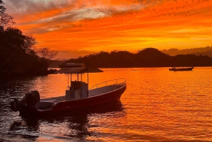 Excursión Bioluminiscencia; Lancha Rápida, Camping (Desde Puntarenas)