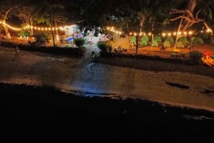 Excursión Bioluminiscencia; Lancha Rápida, Camping (Desde Puntarenas)