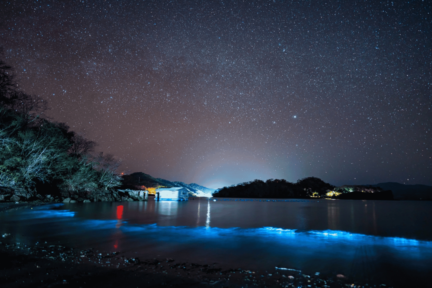 Bioluminescence Tour; Speedboat, Camping (From San José)
