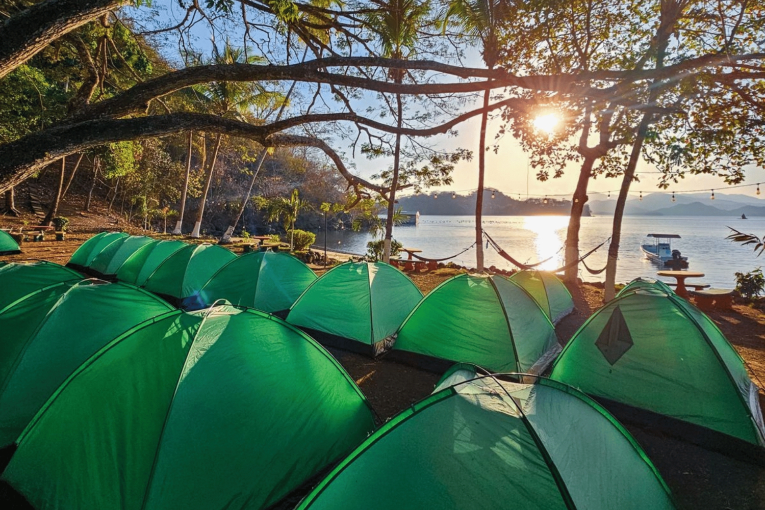 Bioluminescence Tour; Speedboat, Camping (From San José)