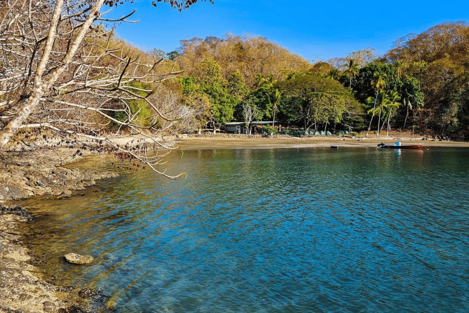 Bioluminescence Tour; Speedboat, Camping (From San José)