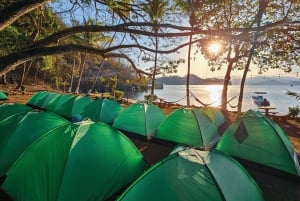 Bioluminescence Tour; Speedboat, Camping (From San José)