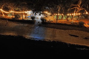 Bioluminescence Tour; Speedboat, Camping (From San José)