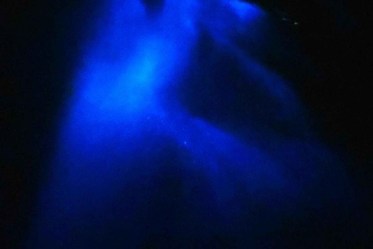 Bioluminescens aftentur med snorkling fra Pochote Beach