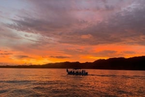 Bioluminescence Night Snorkeling Tour From Pochote Beach