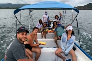 Bioluminescence Night Snorkeling Tour From Pochote Beach