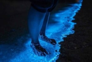 Bioluminescence Night Snorkeling Tour From Pochote Beach