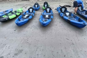 Bioluminescent Kayak Tour Costa Rica